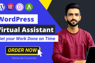 be your personal wordpress virtual assistant, upload content, maintenance