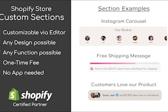 be your shopify expert for custom coding