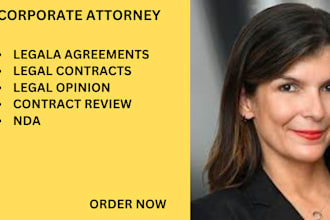 be your lawyer and draft your partnership, lease, loan, employment, contracts