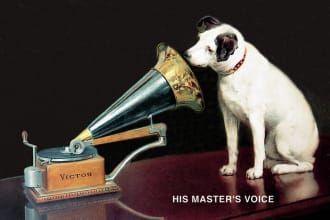 voice your script in a gritty blue collar style delivery