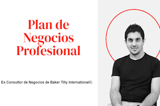 plan de negocios profesional