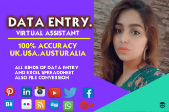 do quickly inputting data entry in 12hours