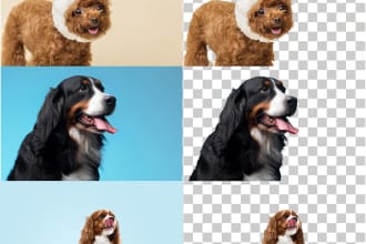 remove the background and change it to white or transparent