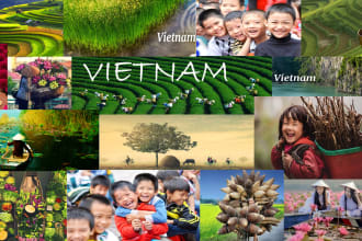 be your sourcing partner for top manufacturers and suppliers in vietnam