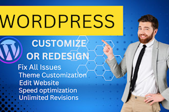 revamp, redesign, customize or clone wordpress website