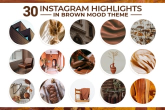 provide you 30 trendy premade instagram highlight covers