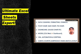be your ultimate excel automation expert with vba, formulas, and macros