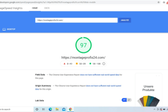 do google page insights speedup optimize high score guaranty