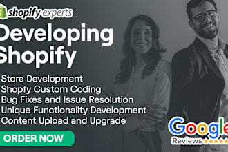 do shopify custom coding or bug fixing and customization