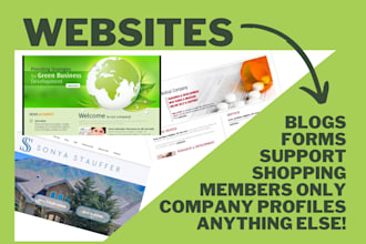 make a website for you
