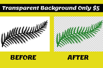 do bulk background remove, transparent logo, white, clear signature