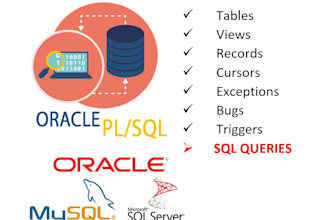 write plsql oracle queries for your school or professionnel works