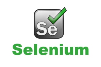 create selenium java automation testing from your test case