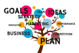 write business plan, reports and entrepreneurship projects