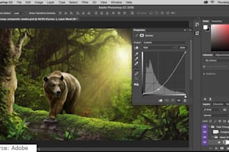 teach you photoshop software
