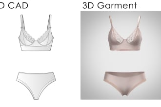 transform 2d cad into 3d virtual garment with clo3d