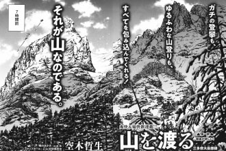 clean, redraw and typeset your manga