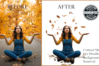do expert background removal for high quality image editing