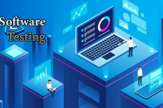 do software testing for security and functionality vulneralbilities