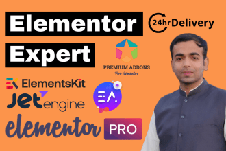 be your elementor expert design elementor wordpress website,fix elementor issue