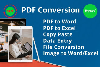 convert pdf to word, pdf to excel, and data entry for you