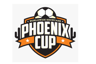 provide unique football baseball basketball volleyball logo for you
