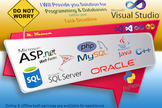 do software, applications and database development tasks