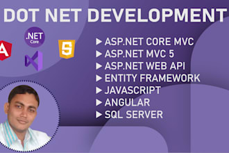 build asp net mvc, asp net core, asp net rest API, angular