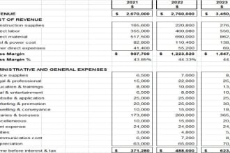do professional financial projections