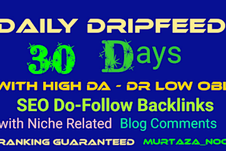 do 30 days SEO drip feed backlinks service for daily update