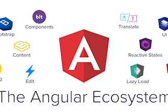 be your frontend developer in angular
