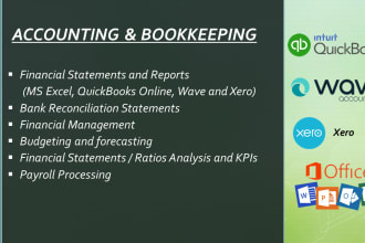 provide accounting, bookkeeping and financial management services