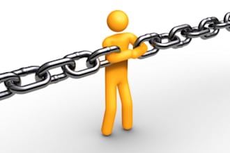 do a scrapebox blast to 2000 blogs and give you report including LIVE backlinks