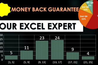 do your microsoft excel charts, pivot tables and dashboards