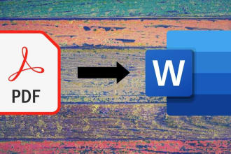 convert PDF to word, pdf to excel, copy paste, data entry