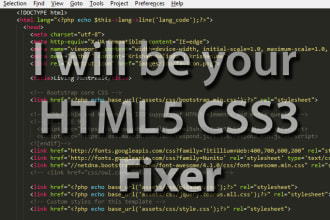fix a css3 or html5 issue on your website