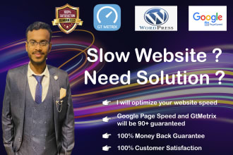 premium wordpress speed optimization on google page speed and gtmetrix