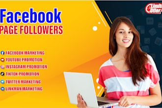 run facebook page promotion ad to grow page followers