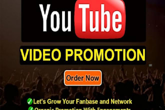 fast organic youtube videos promotion