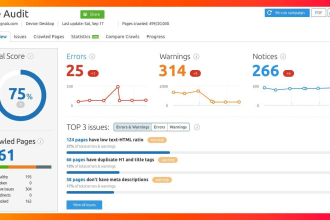 provide a complete SEO audit report with technical issues fixing