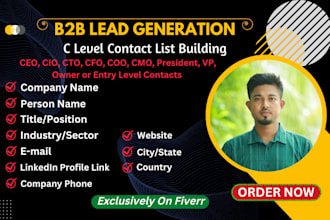 do targeted b2b lead generation, business lead and c level contact list building
