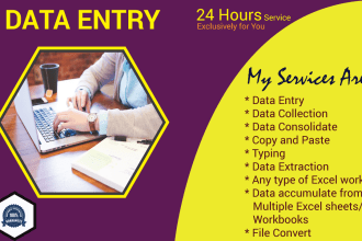 do data entry, copy paste, pdf covert, data extraction