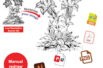 do professional vector tracing raster to editable
