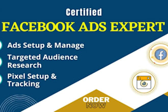 setup facebook ads, instagram ads campaign, fb marketing and advertising