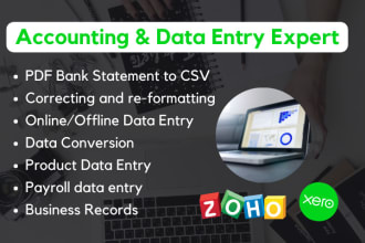 do accurate accounting data entry services available
