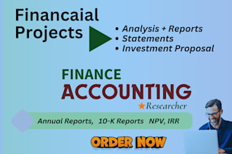 do accounting and finance assignment, financial analysis excel project