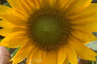 be your awesome personal administrative virtual assistant