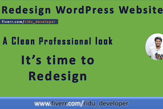 fix, customize and redesign your wordpress site