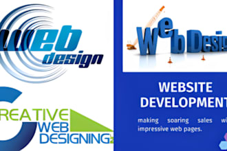 build shopify dropshipping ecommerce store with aliexpress hot selling product