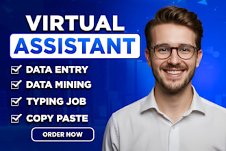 be your virtual assistant for data entry, data mining, copy paste, web research
